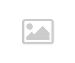 河南固始县整风中73名科级以上干部被电视曝光